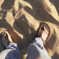 Image / illustration