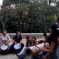 Image / illustration