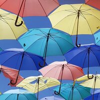 Image / illustration