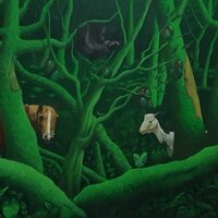 Image / illustration