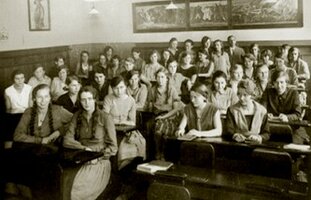 Image / illustration