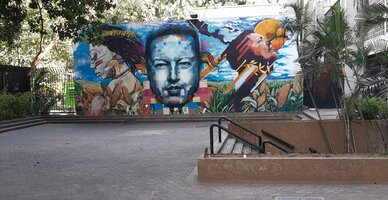 Image / illustration